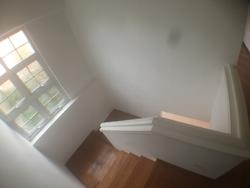 Bukit Loyang Estate (D17), Semi-Detached #153024032